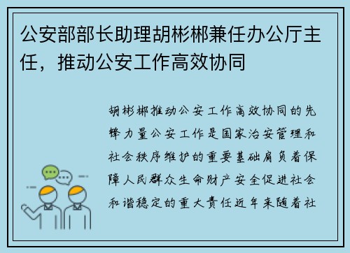 公安部部长助理胡彬郴兼任办公厅主任，推动公安工作高效协同