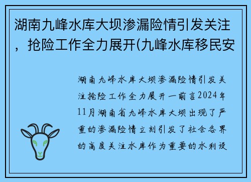 湖南九峰水库大坝渗漏险情引发关注，抢险工作全力展开(九峰水库移民安置政策)